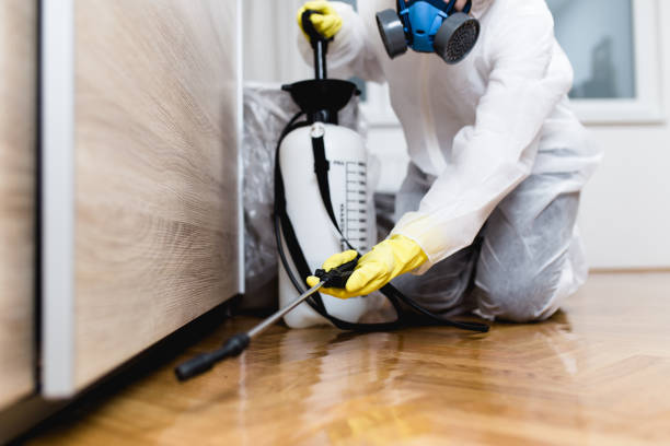 Best Bed Bug Extermination  in Coleman, TX