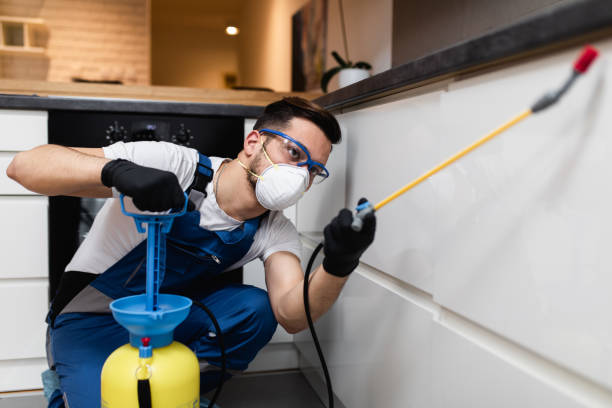 Best Bed Bug Extermination  in Coleman, TX
