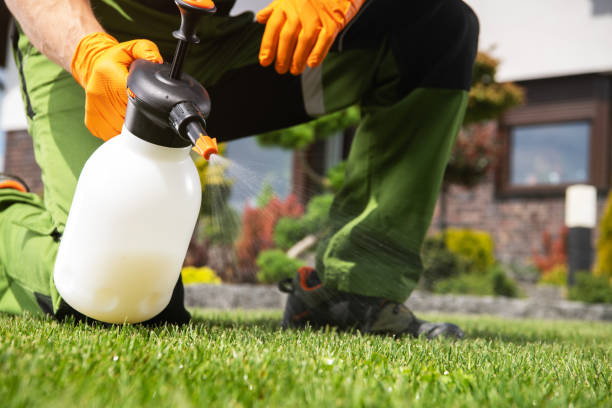 Best Pest Control Near Me  in Coleman, TX
