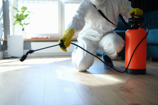 Trusted Coleman, TX Pest Control Experts