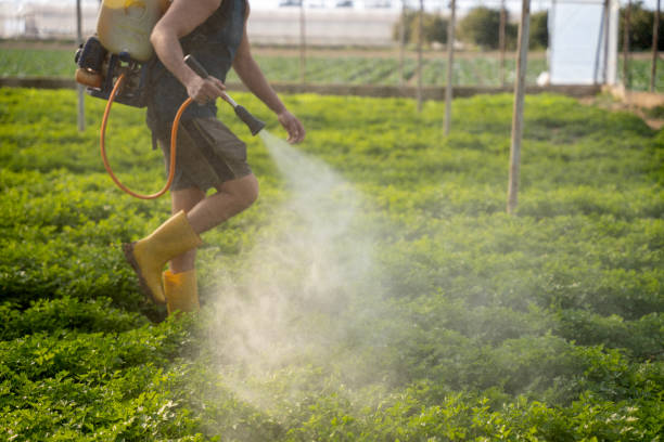 Best Local Pest Control Services  in Coleman, TX